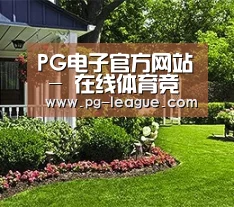 PG电子官方网站 - 在线体育竞猜入口