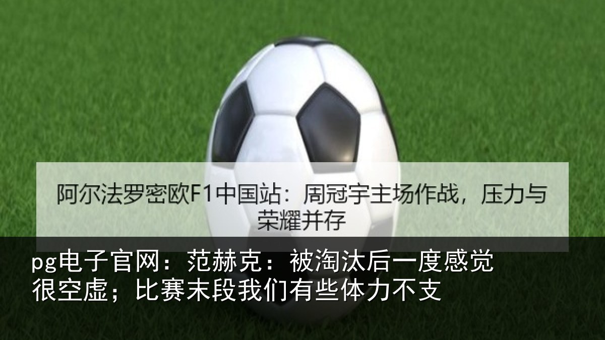 pg电子官网：范赫克：被淘汰后一度感觉很空虚；比赛末段我们有些体力不支
