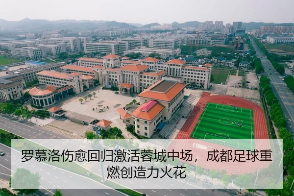 罗慕洛伤愈回归激活蓉城中场，成都足球重燃创造力火花