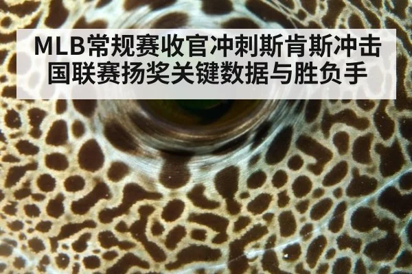 MLB常规赛收官冲刺斯肯斯冲击国联赛扬奖关键数据与胜负手